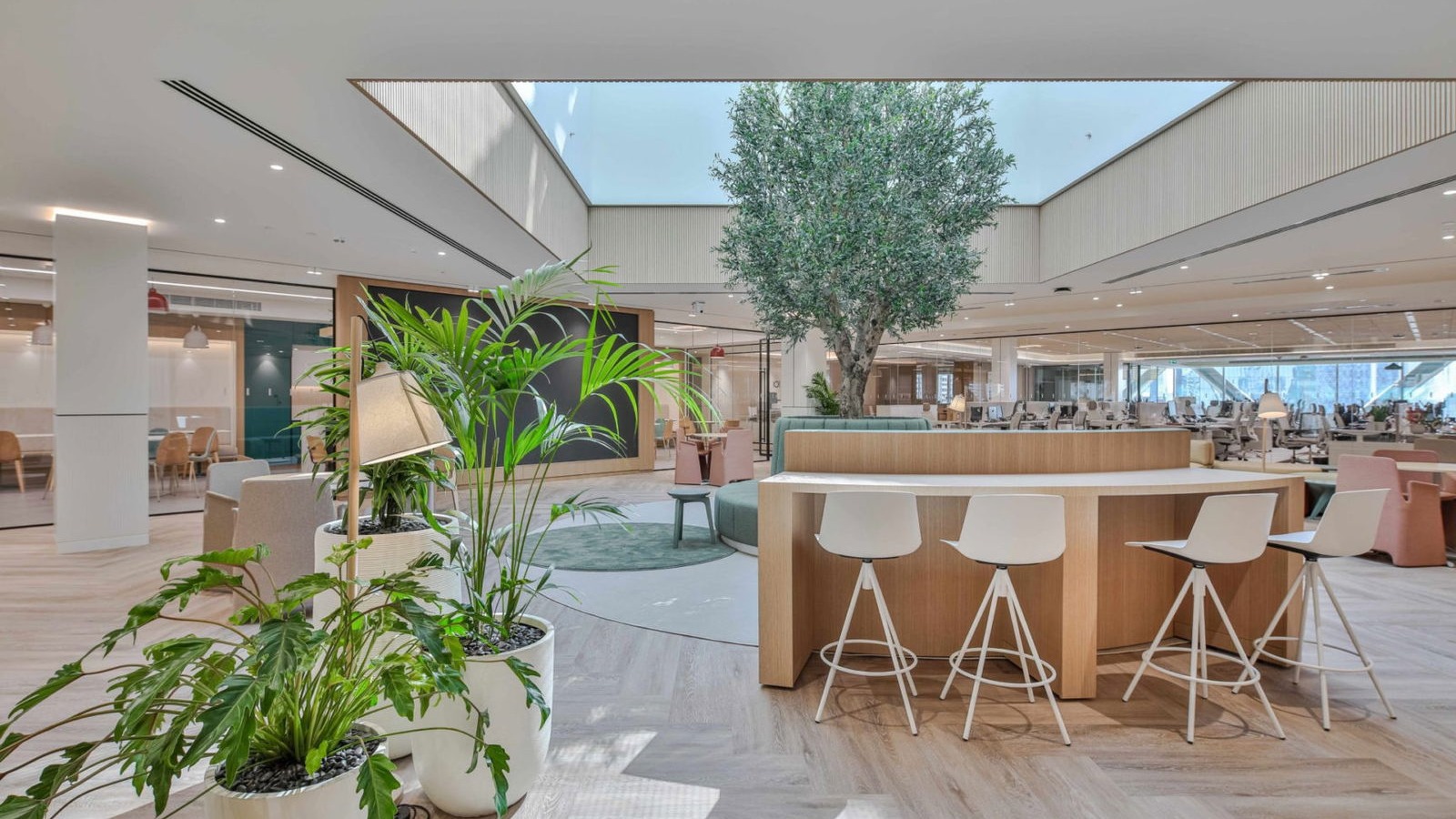 Modern breakout lounge with biophilic design and premium commercial furniture